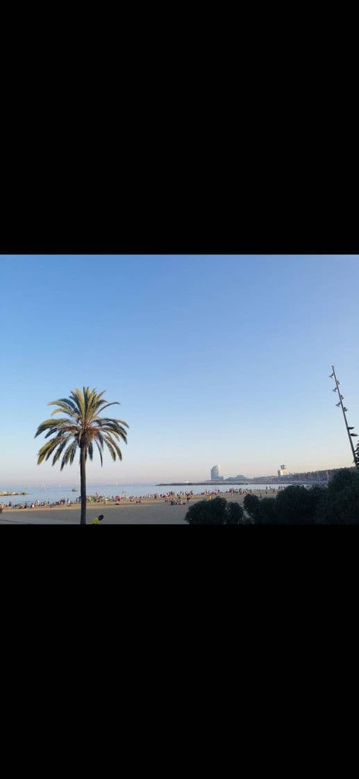 Lugar Playa de la Barceloneta