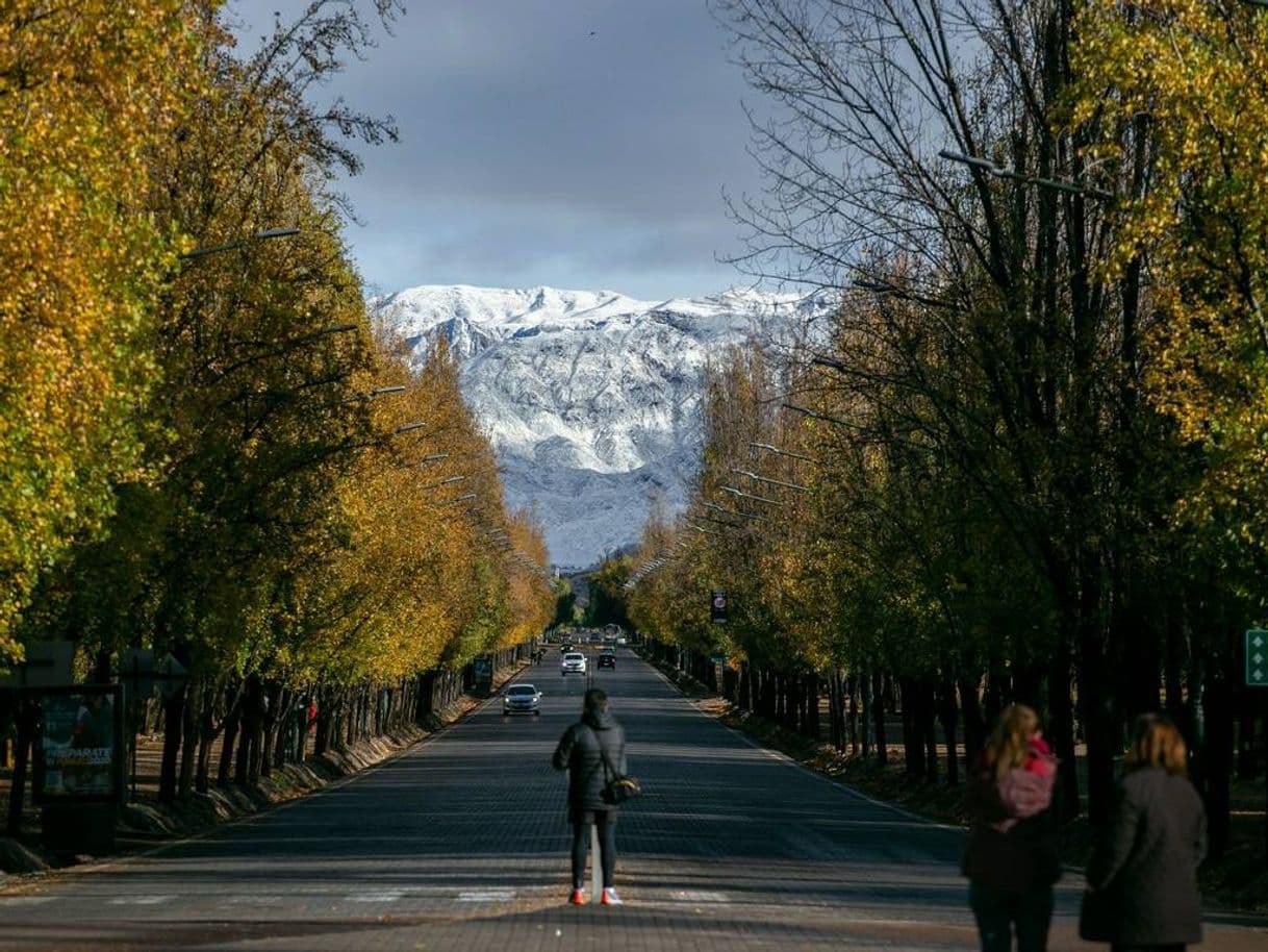 Place Mendoza