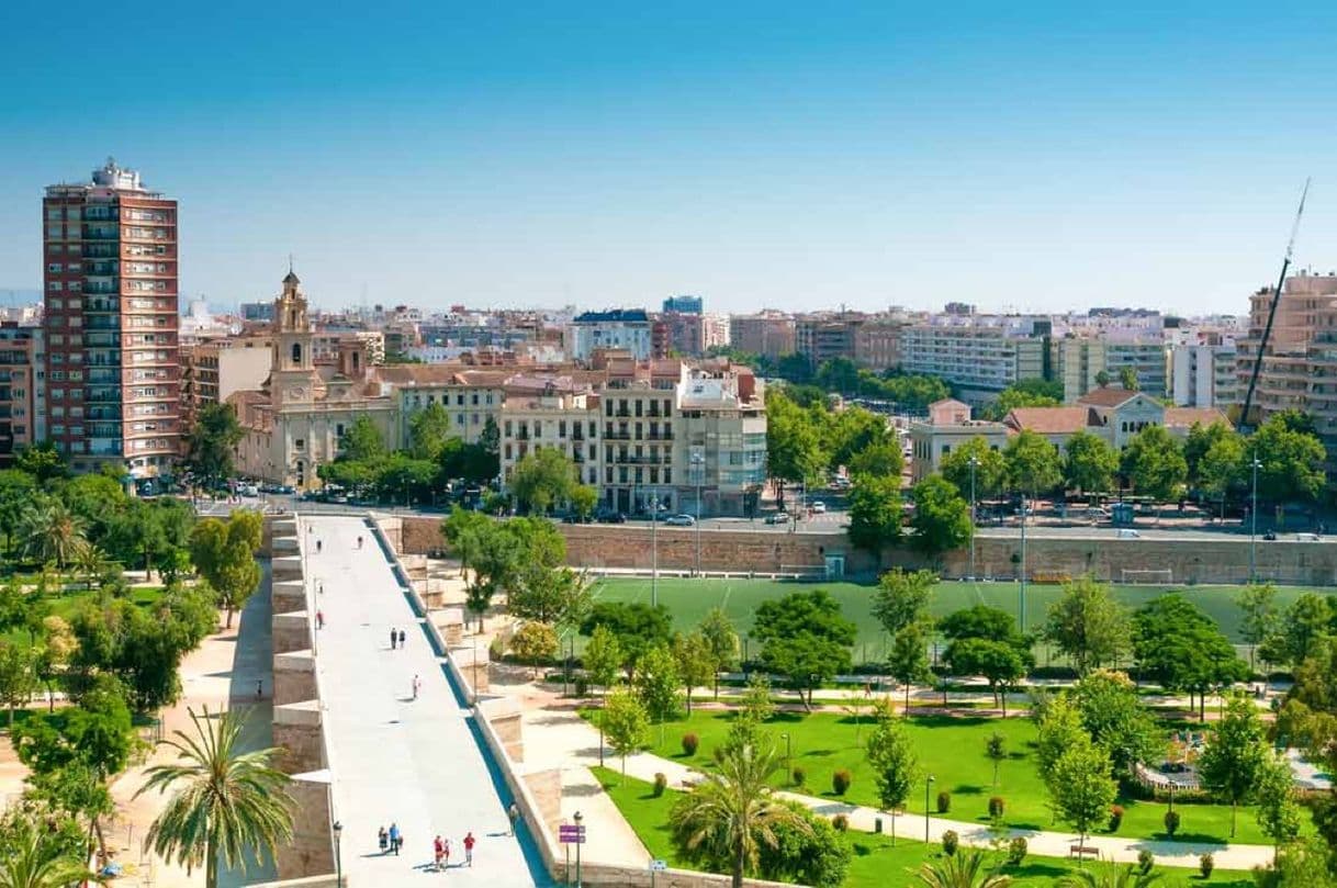 Place Jardines del Túria