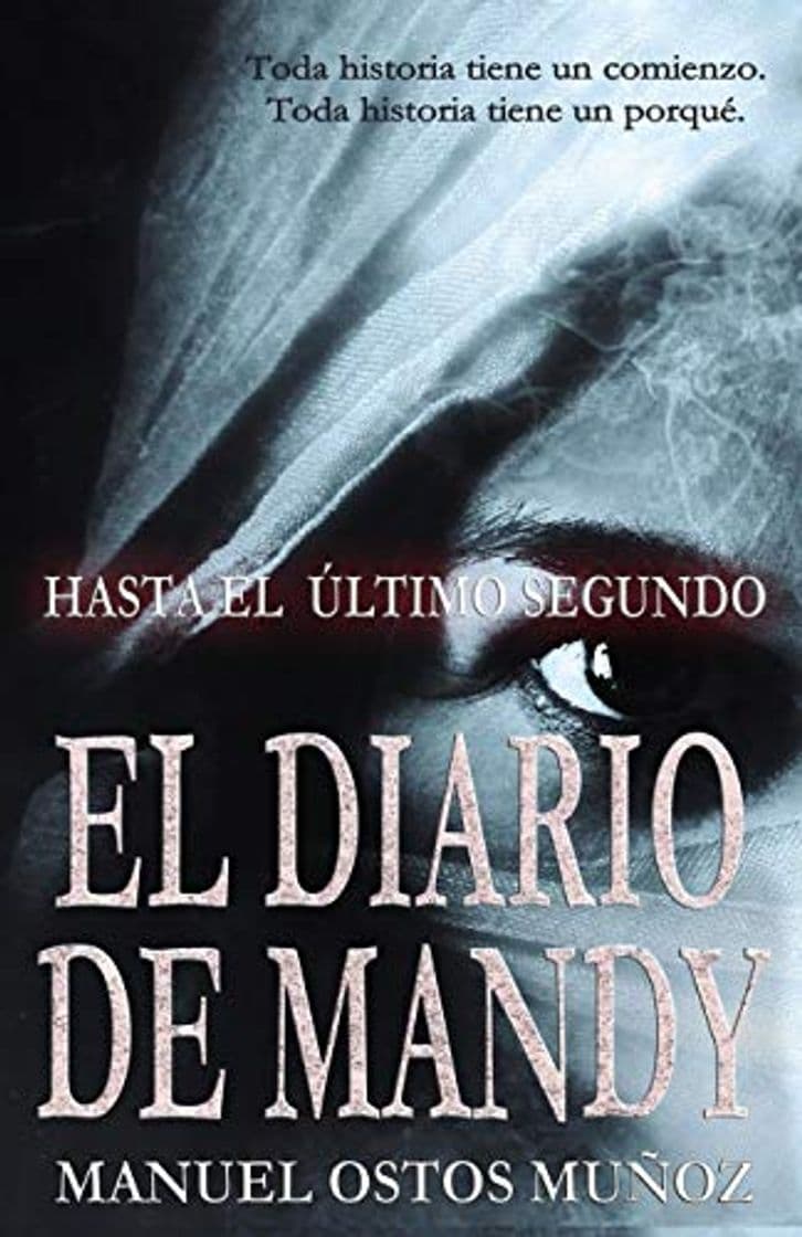 Book Hasta el último segundo: EL DIARIO DE MANDY