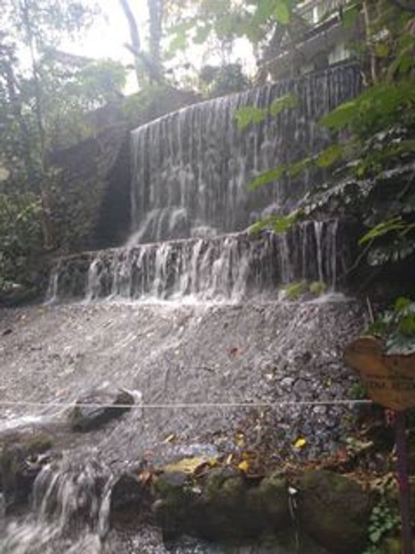 Lugar Parque Estatal Urbano Barranca de Chapultepec