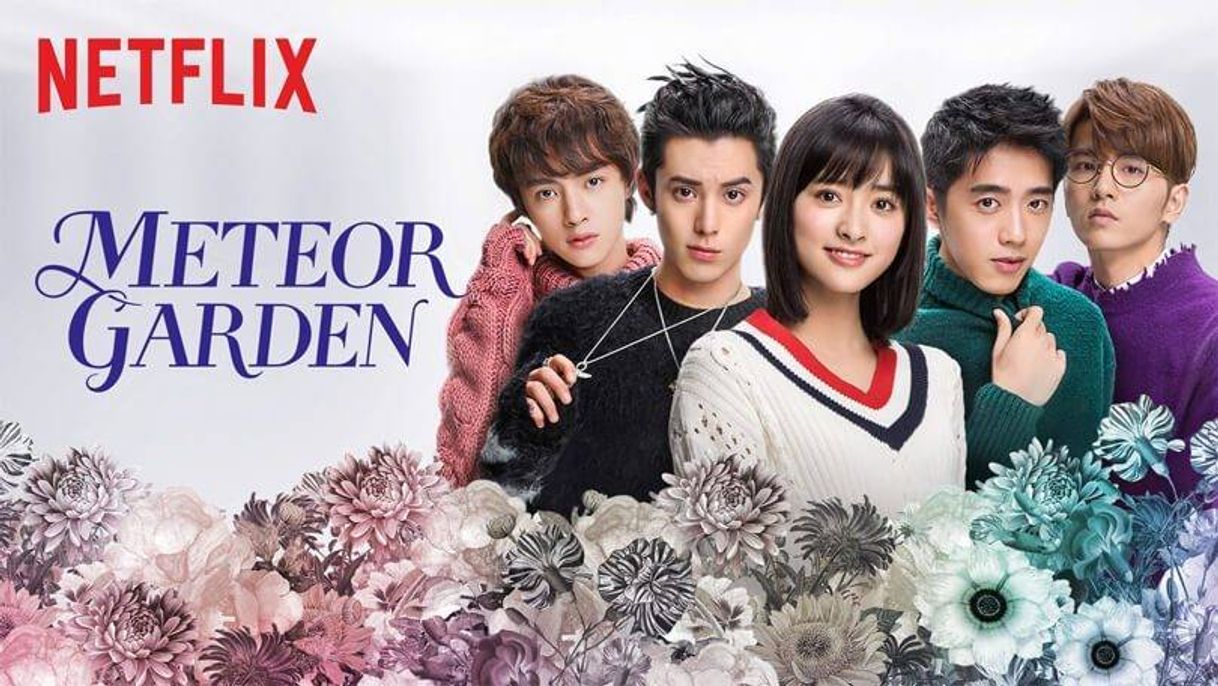 Serie Meteor Garden