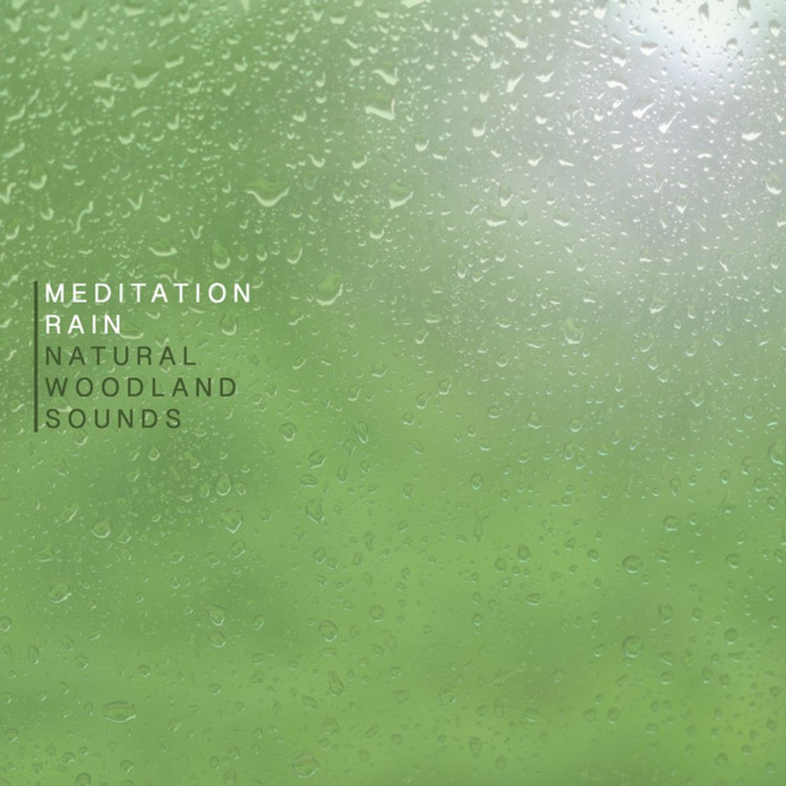 Canción Meditation Rain