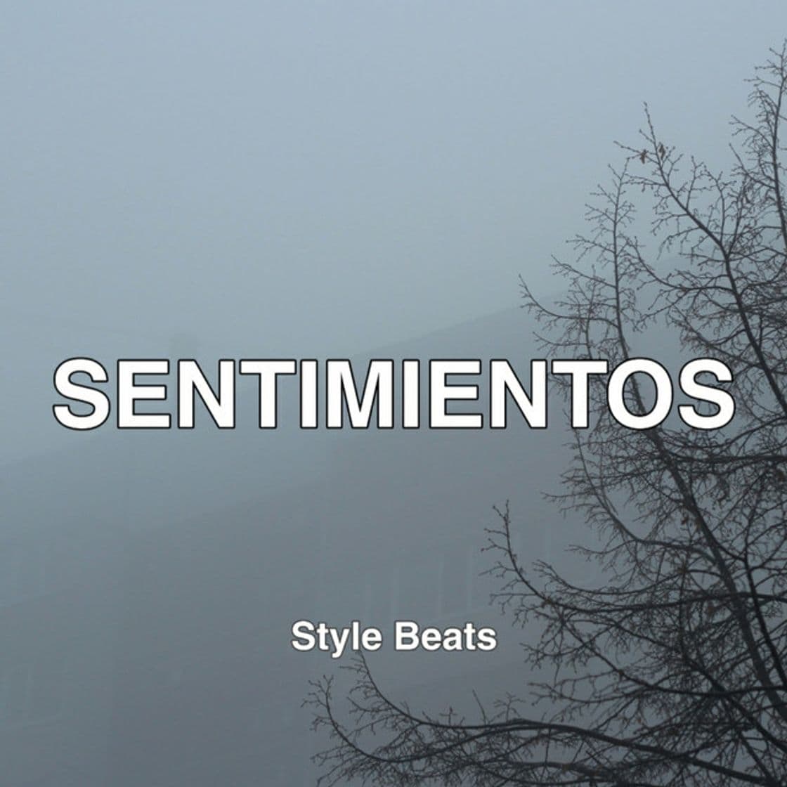 Canción Sentimientos