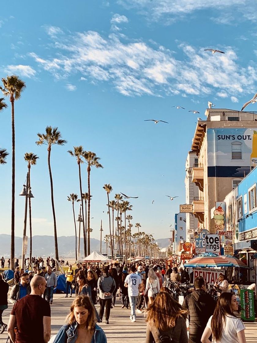 Place Venice Beach Boardwalk