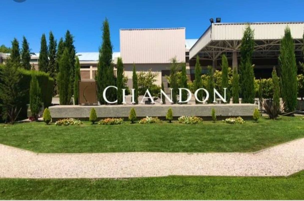 Place Bodega Chandon