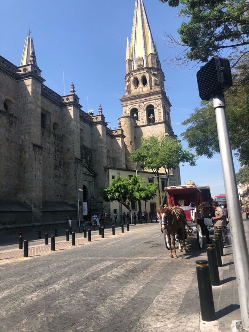 Lugar Guadalajara