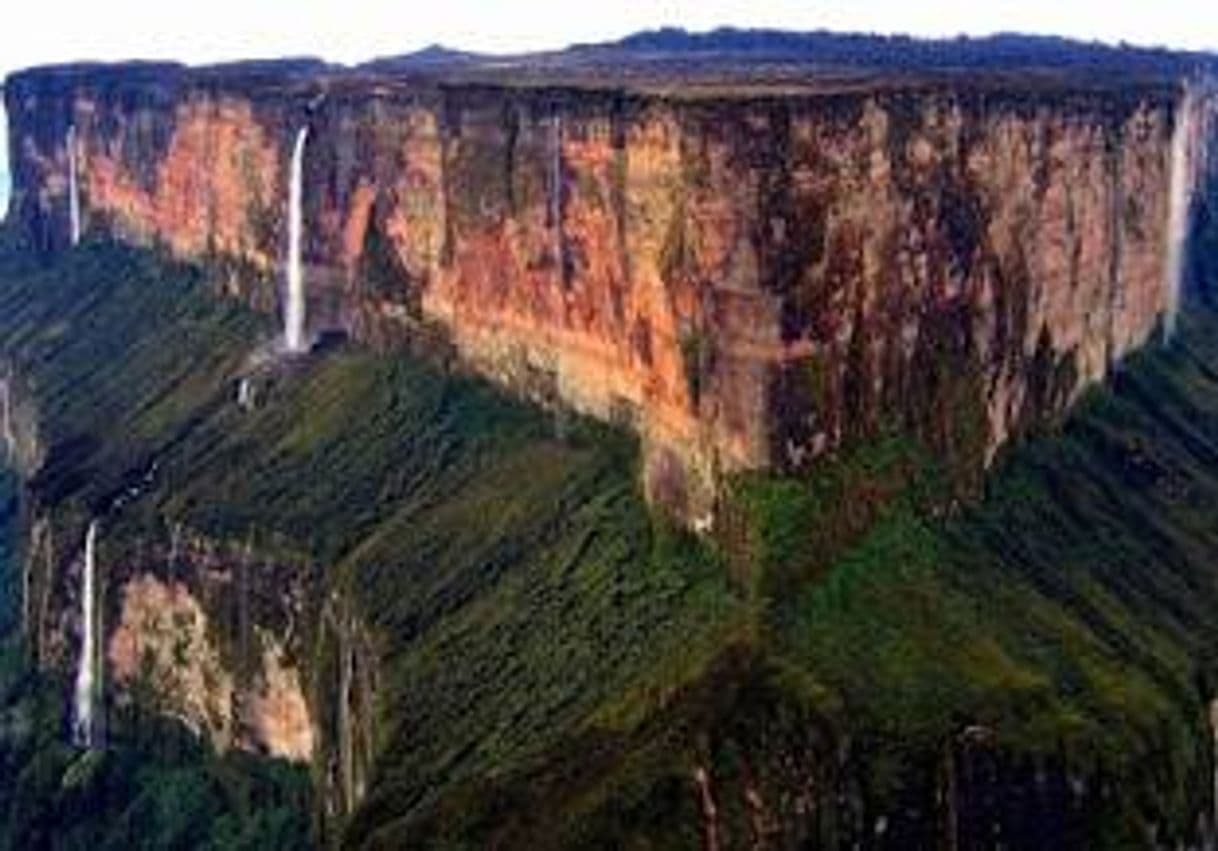 Lugar Escudo guayanés