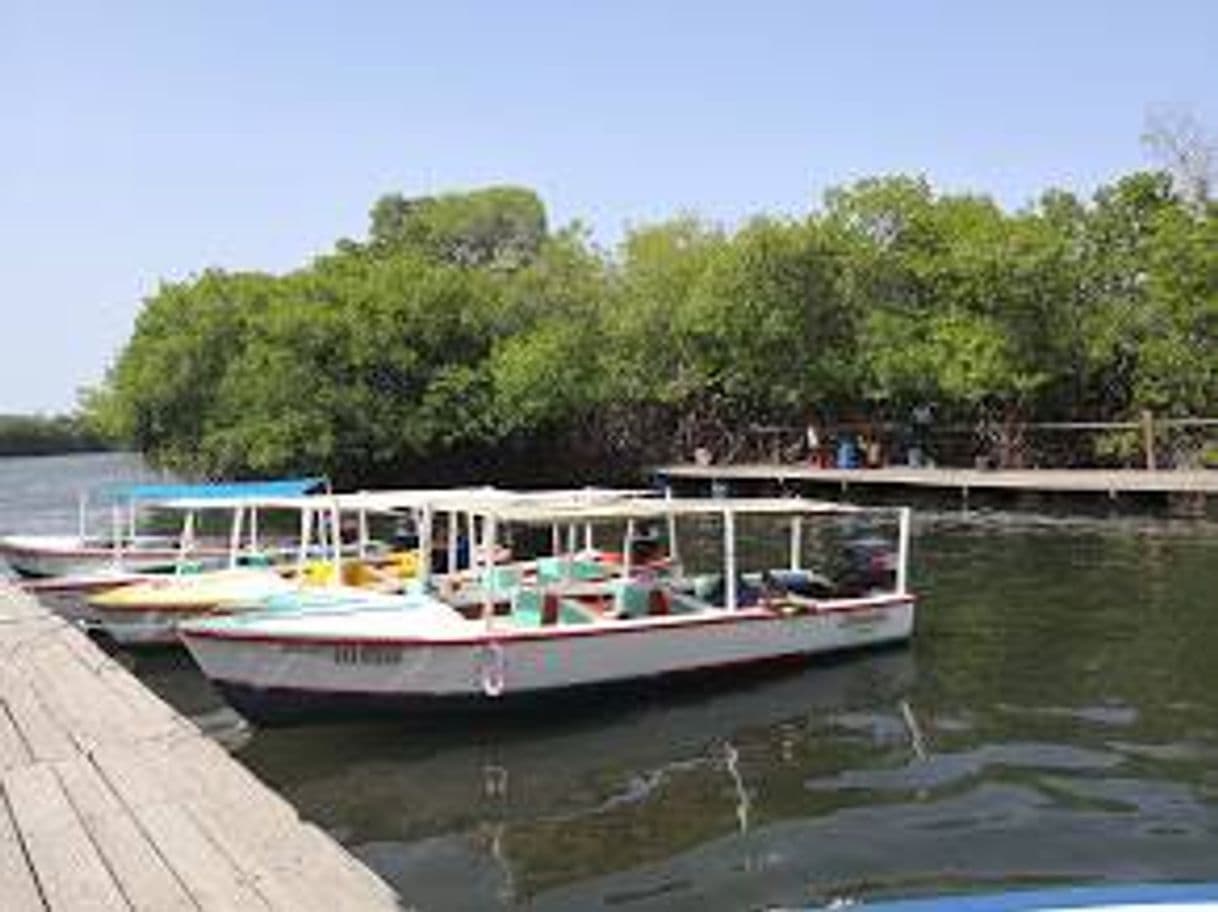 Lugar Parque nacional Laguna de La Restinga