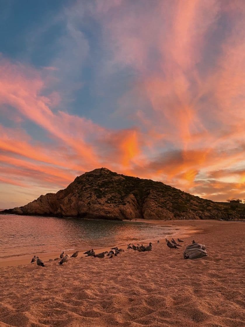 Lugar Playa Santa María