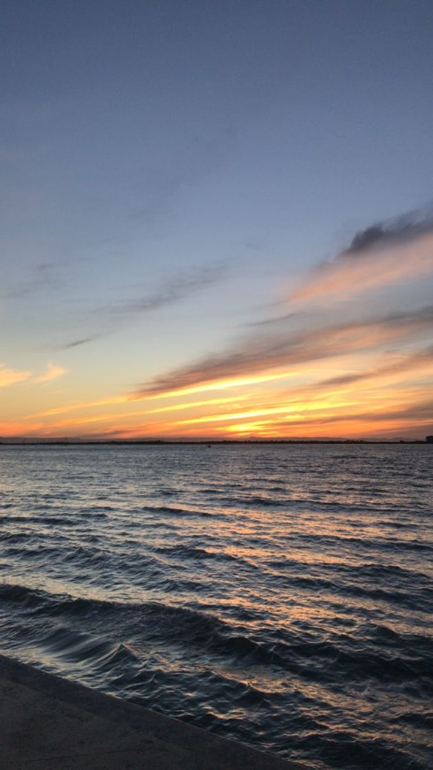 Lugar Malecon La Paz, B.C.S