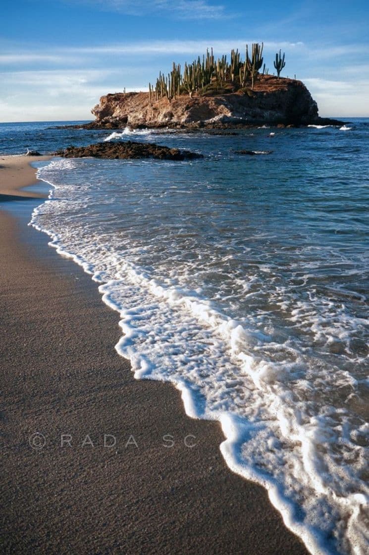 Lugar Playa "El Choyudito"