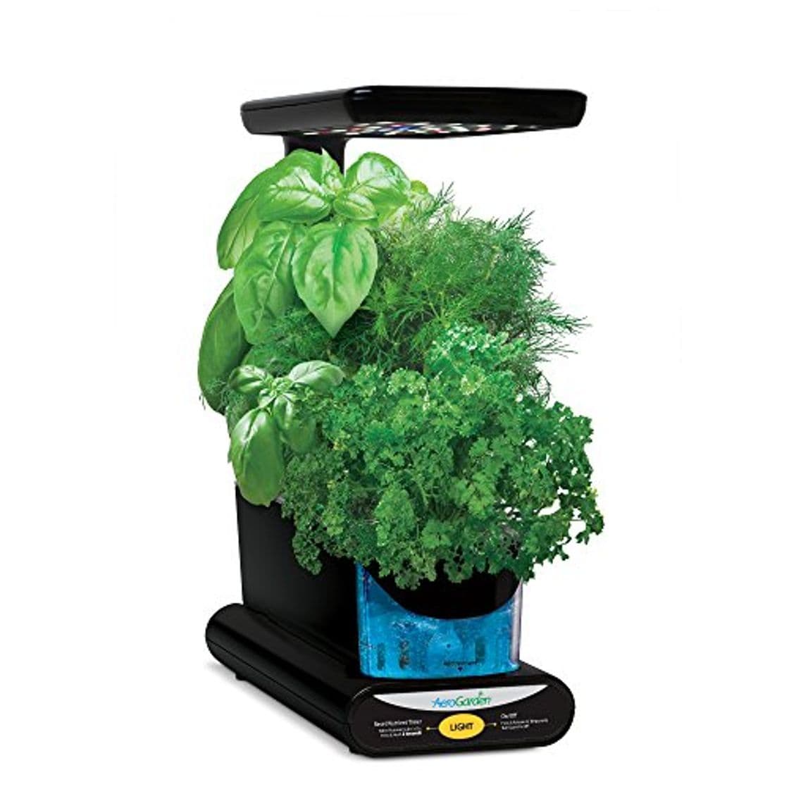 Place AeroGarden Sprout - Kit de cultivo interior smart garden