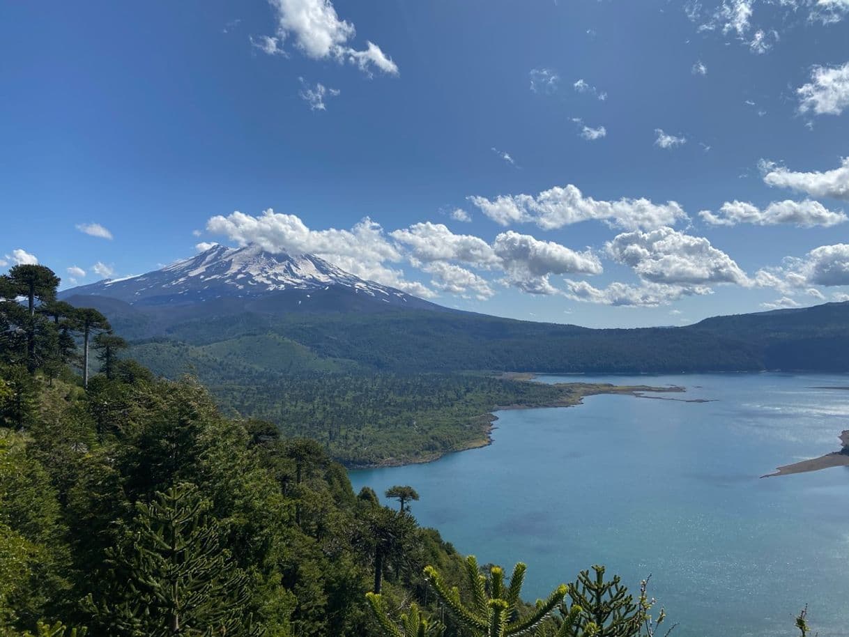 Lugar Parque Nacional Conguillio