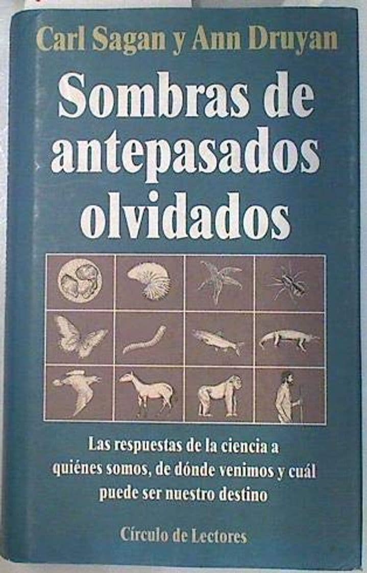 Book Sombras De Antepasados Olvidados