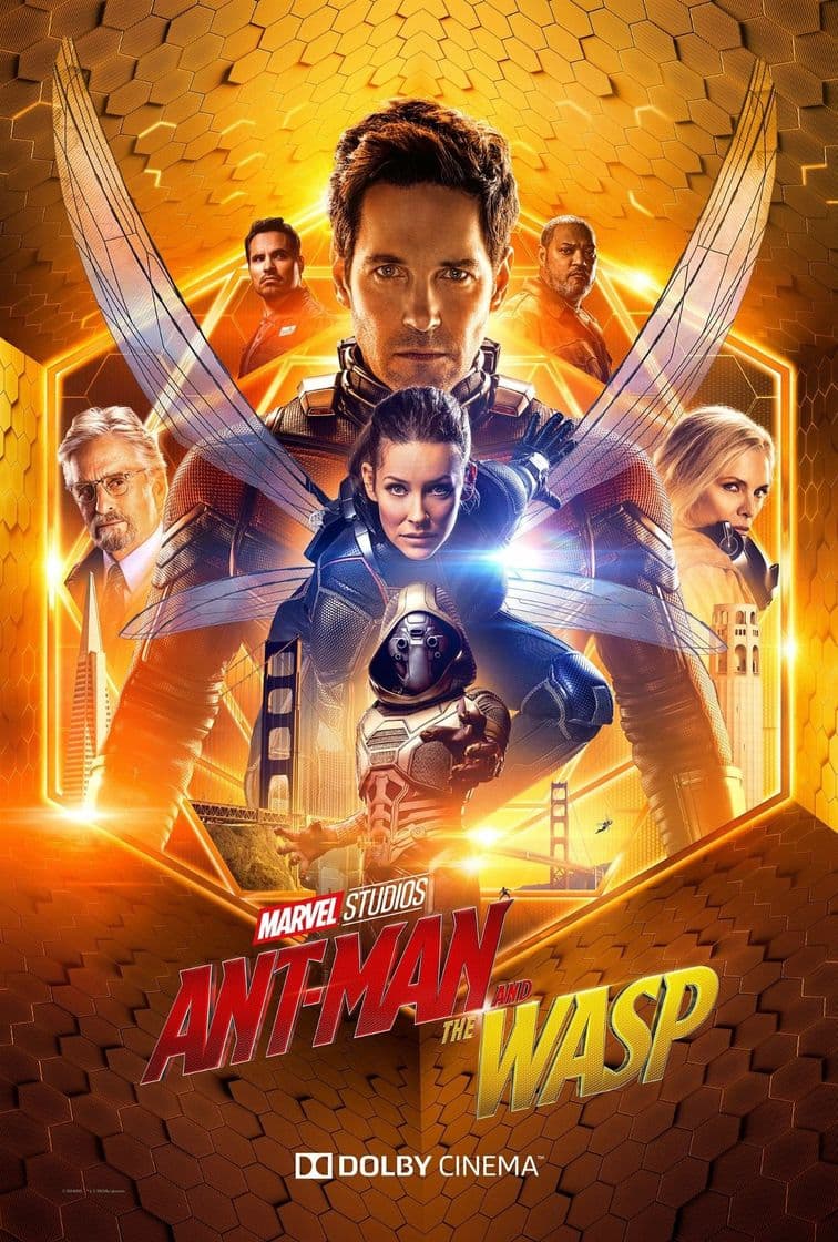 Película Ant-Man and the Wasp