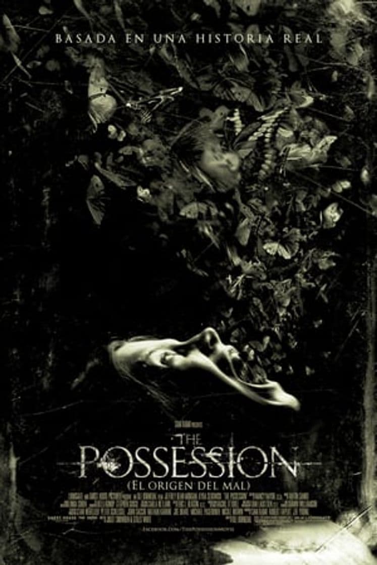 Movie The Possession