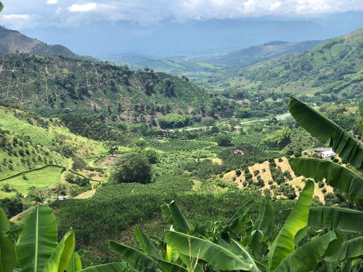 Lugar Manizales