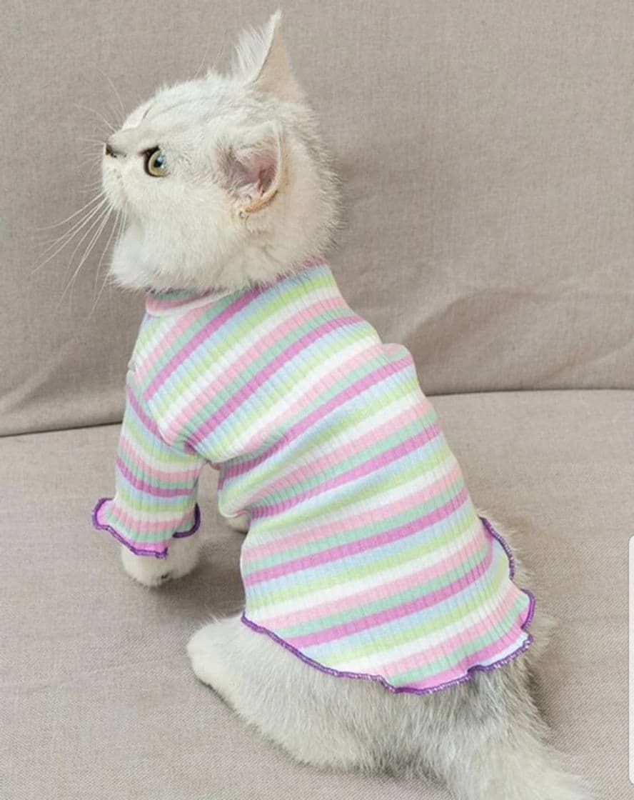 Moda Sueter para gato