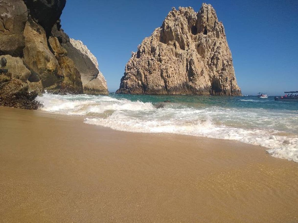 Place Los Cabos