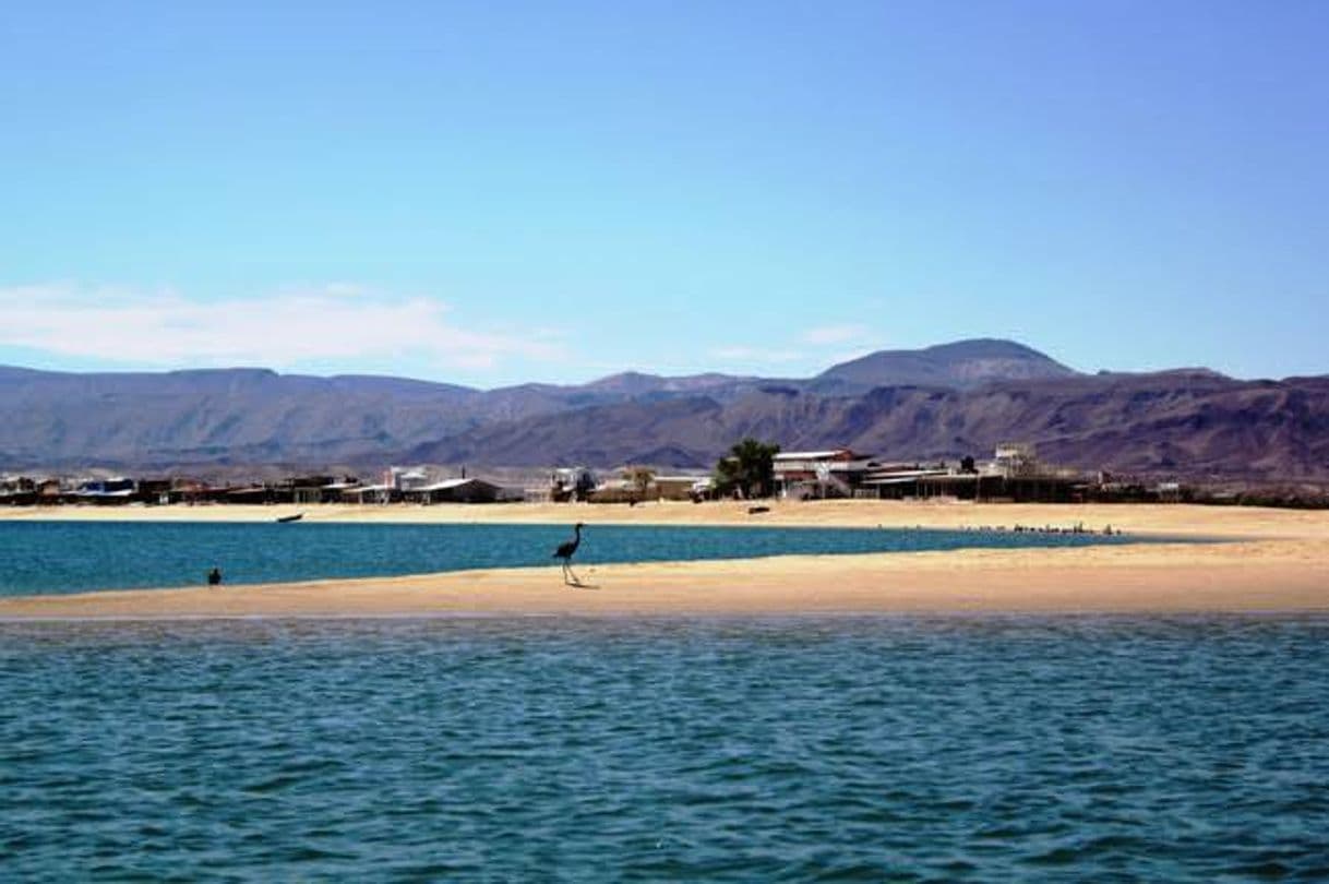 Lugar San Luis Gonzaga Bay