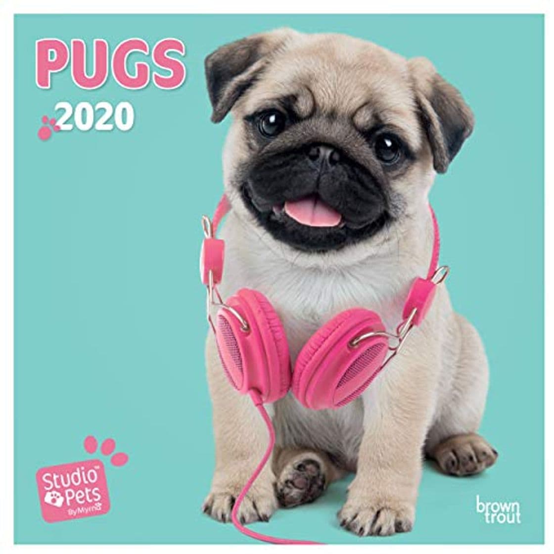 Libro BROWNTROUT UK: Pugs 2020 Mini Wall Calendar (Studio Pets)