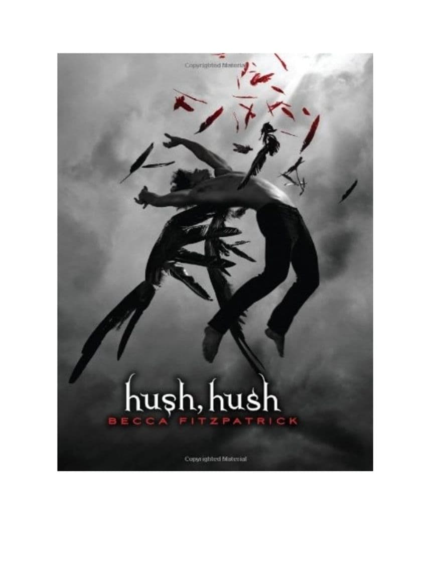 Libro Hush, Hush