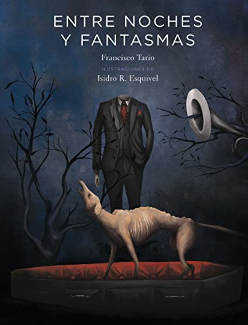 Libro Entre noches y fantasmas