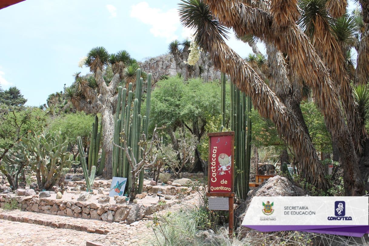 Moda Jardín Botánico Regional de Cadereyta.