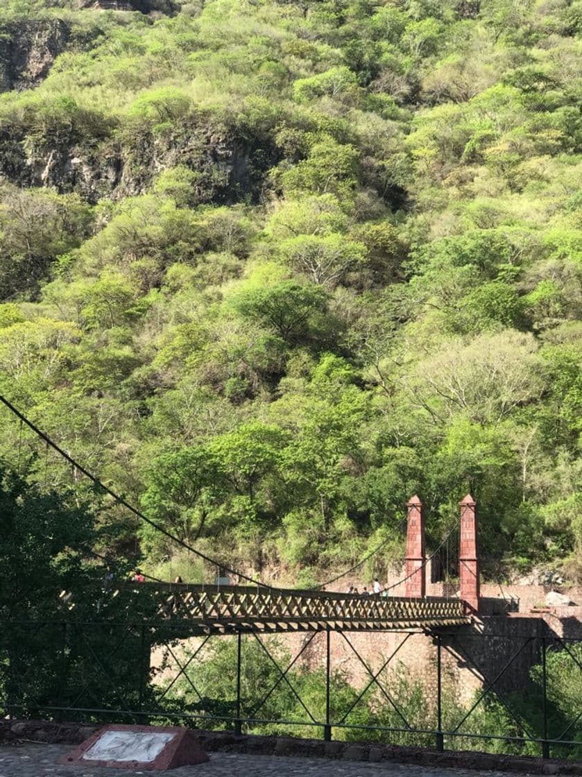 Lugar Barranca de Huentitán