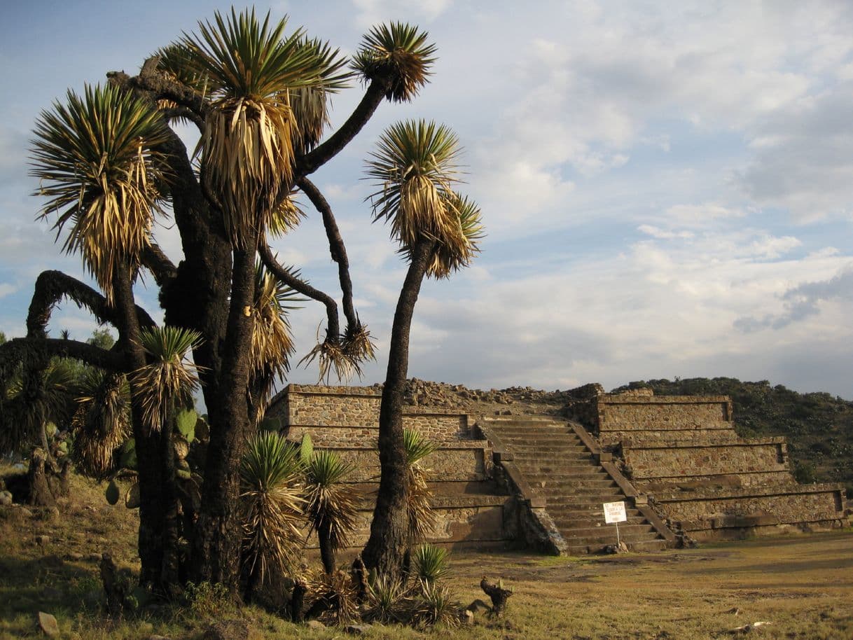 Moda Zona Arqueológica Xihuingo