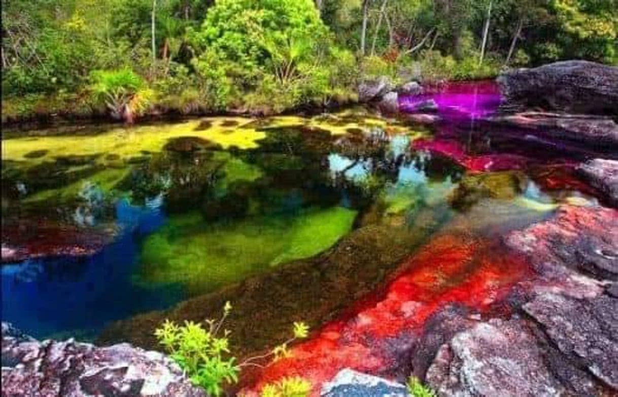 Lugar Caño Cristales