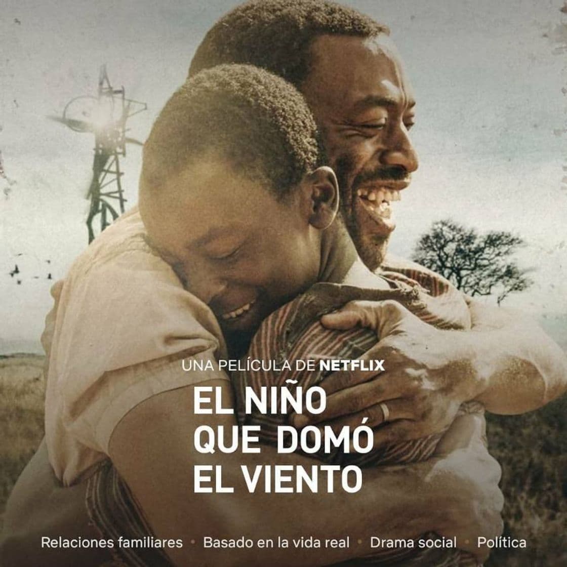 Movie Peli el niño que domo el viento