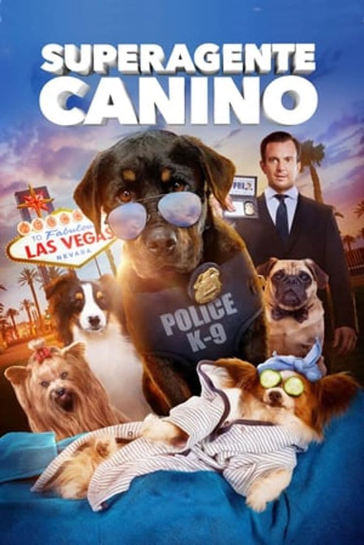 Movie Show Dogs