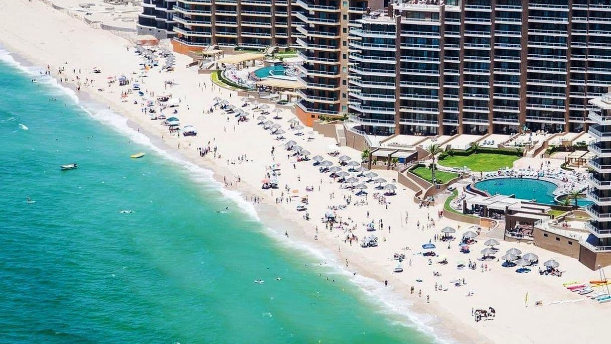 Restaurants Puerto Peñasco