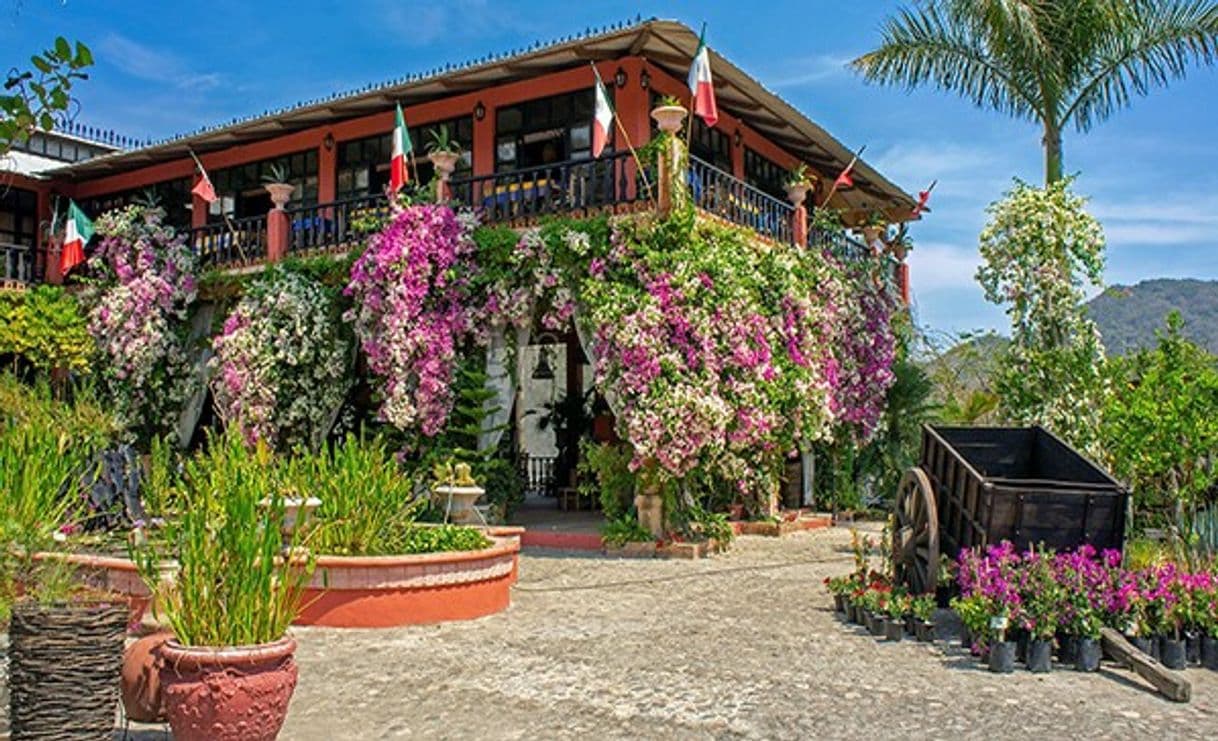 Lugar Vallarta Botanical Garden