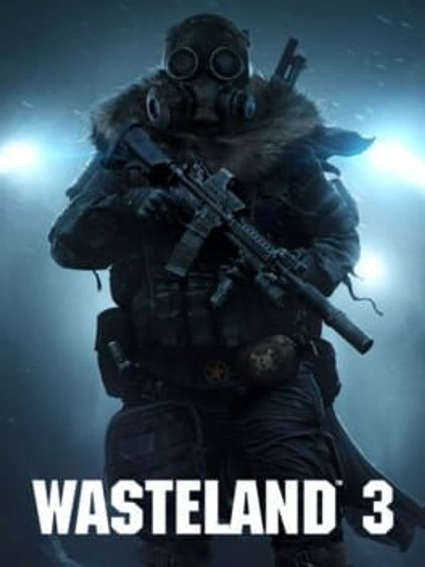 Videogames Wasteland 3