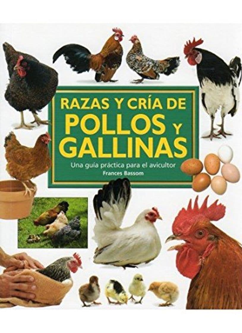 Libro RAZAS Y CRIA DE POLLOS Y GALLINAS