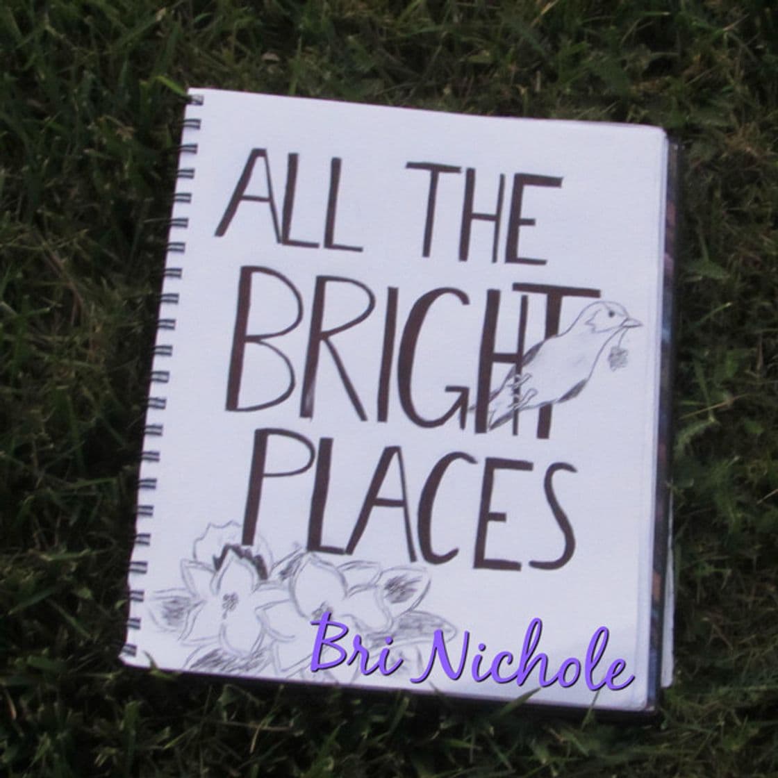 Music All the Bright Places