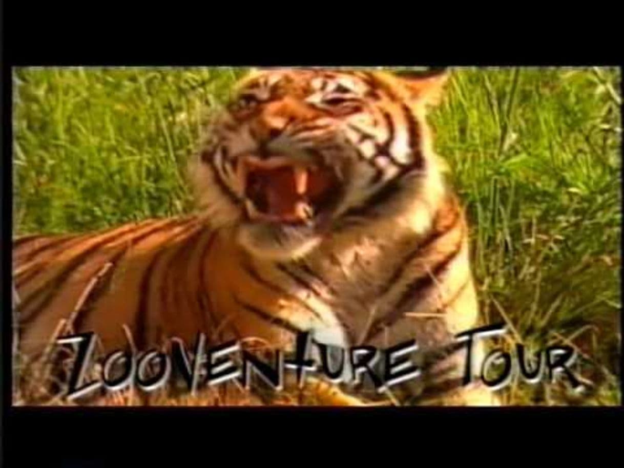 Serie Animal Planet Zooventure