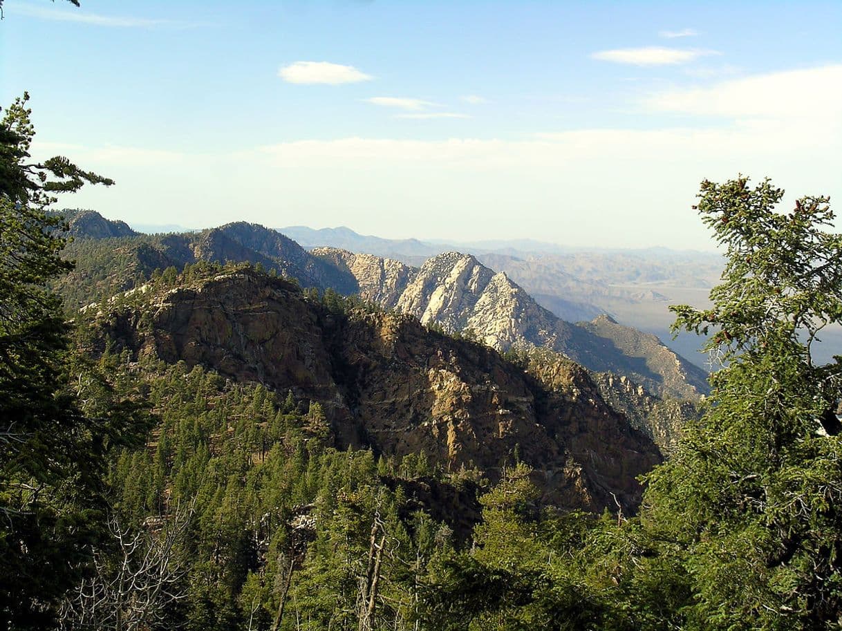 Lugar San Pedro Mártir