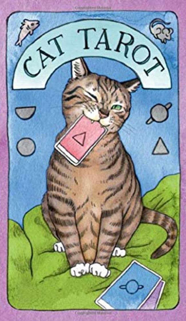 Libro Cat Tarot