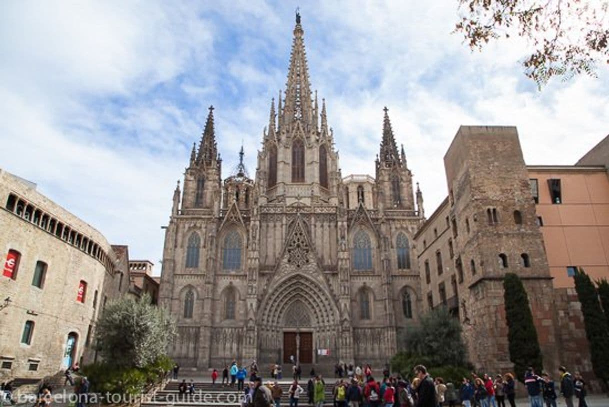 Place Catedral de Barcelona