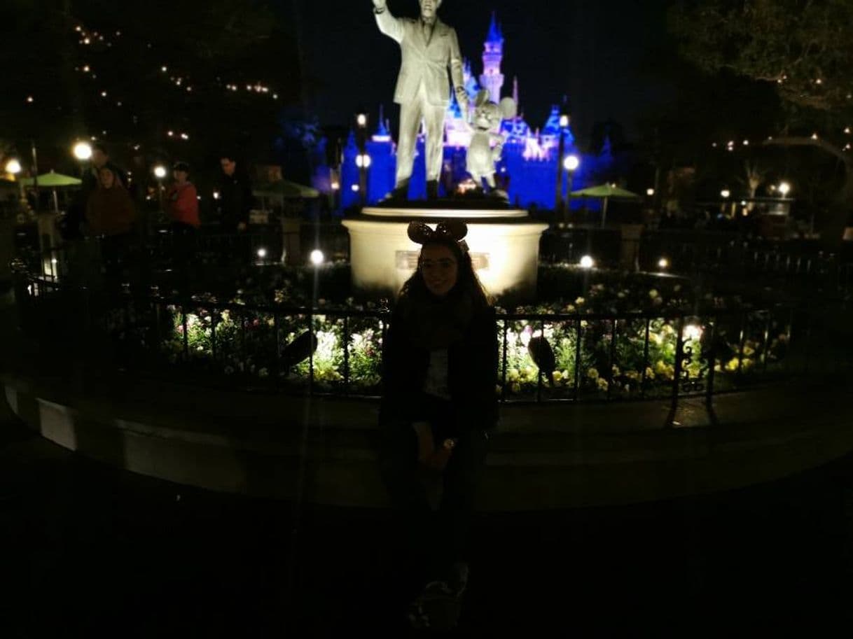 Lugar Disneyland Drive