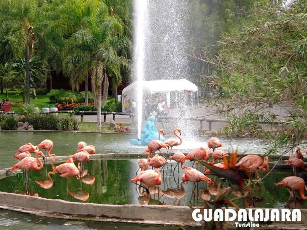 Place Zoológico Guadalajara