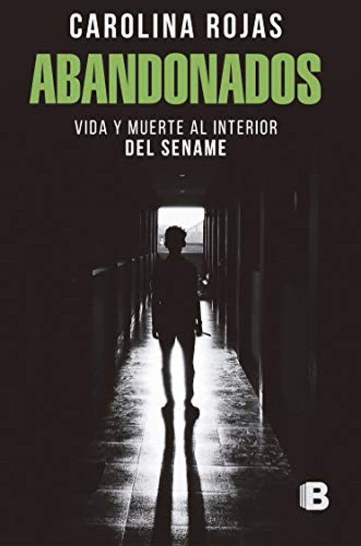 Book Abandonados: Vida y muerte al interior del Sename