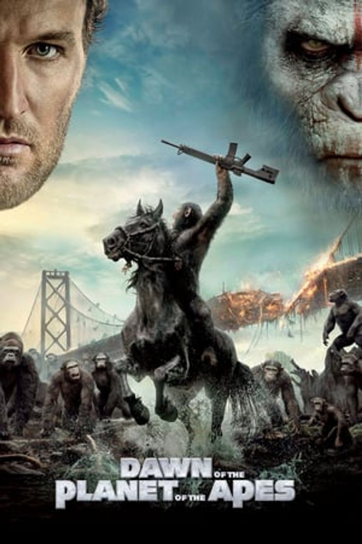 Película Dawn of the Planet of the Apes