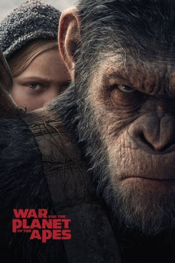 Película War for the Planet of the Apes