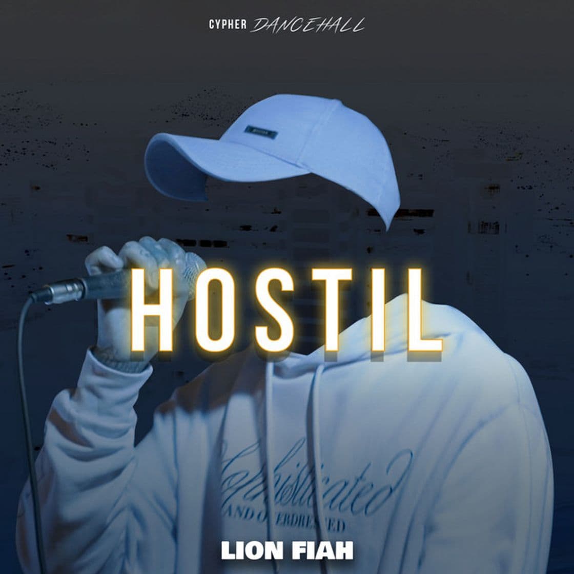 Canción Hostil