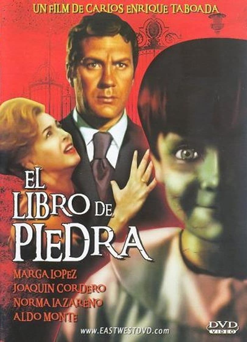 Película El libro de piedra